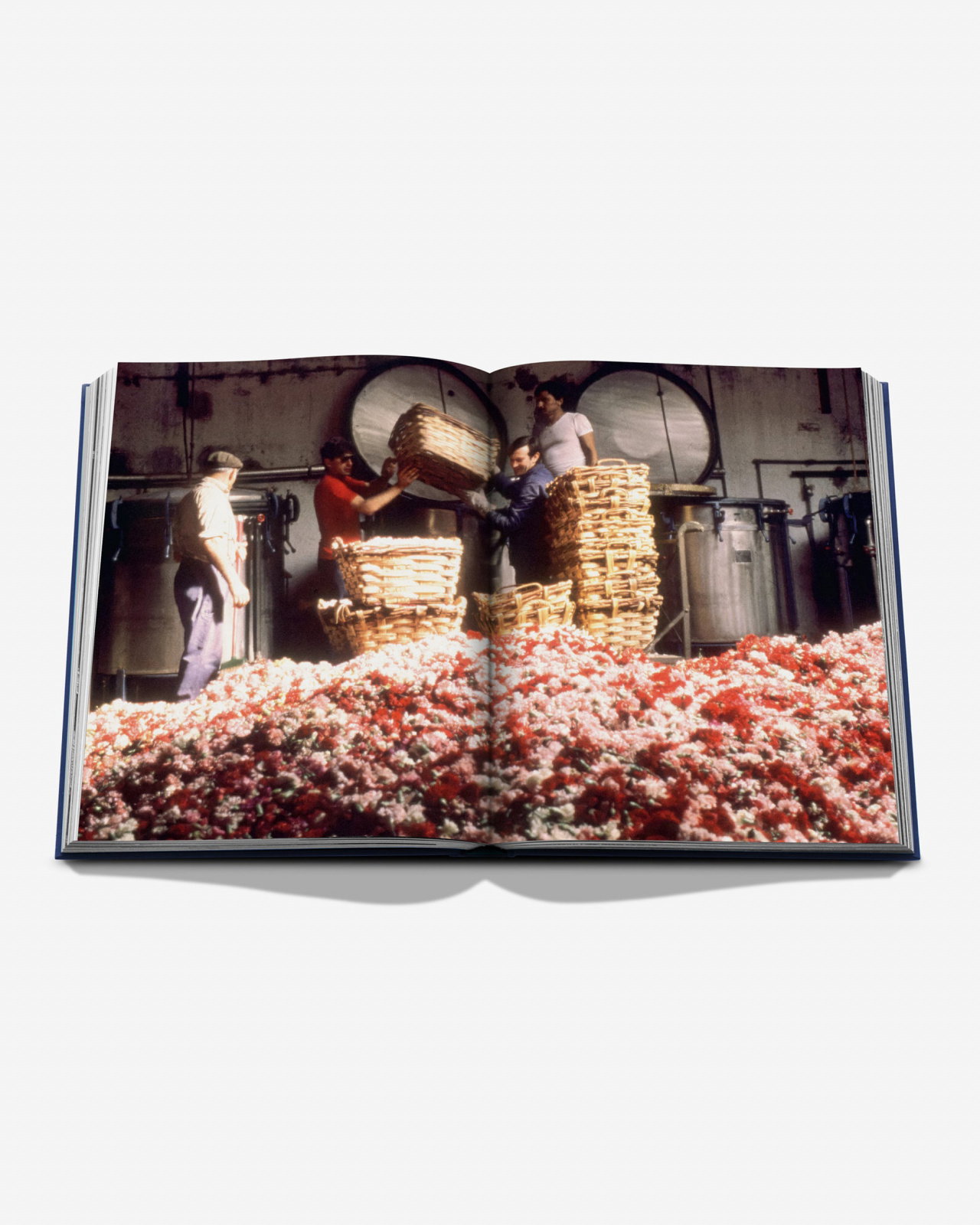 Robertet: From Seed to Scent