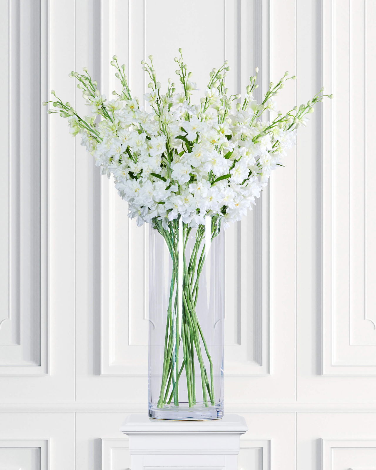 Delphinium Cut Flower White