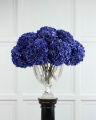 Hydrangea Cut Flower Dark Blue