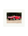 1931 Alfa Romeo Print Only / Small