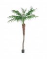 Phoenix palm kunstig tre