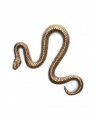 Serpent Decoration Vintage Brass