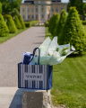 Newport Tote Bag