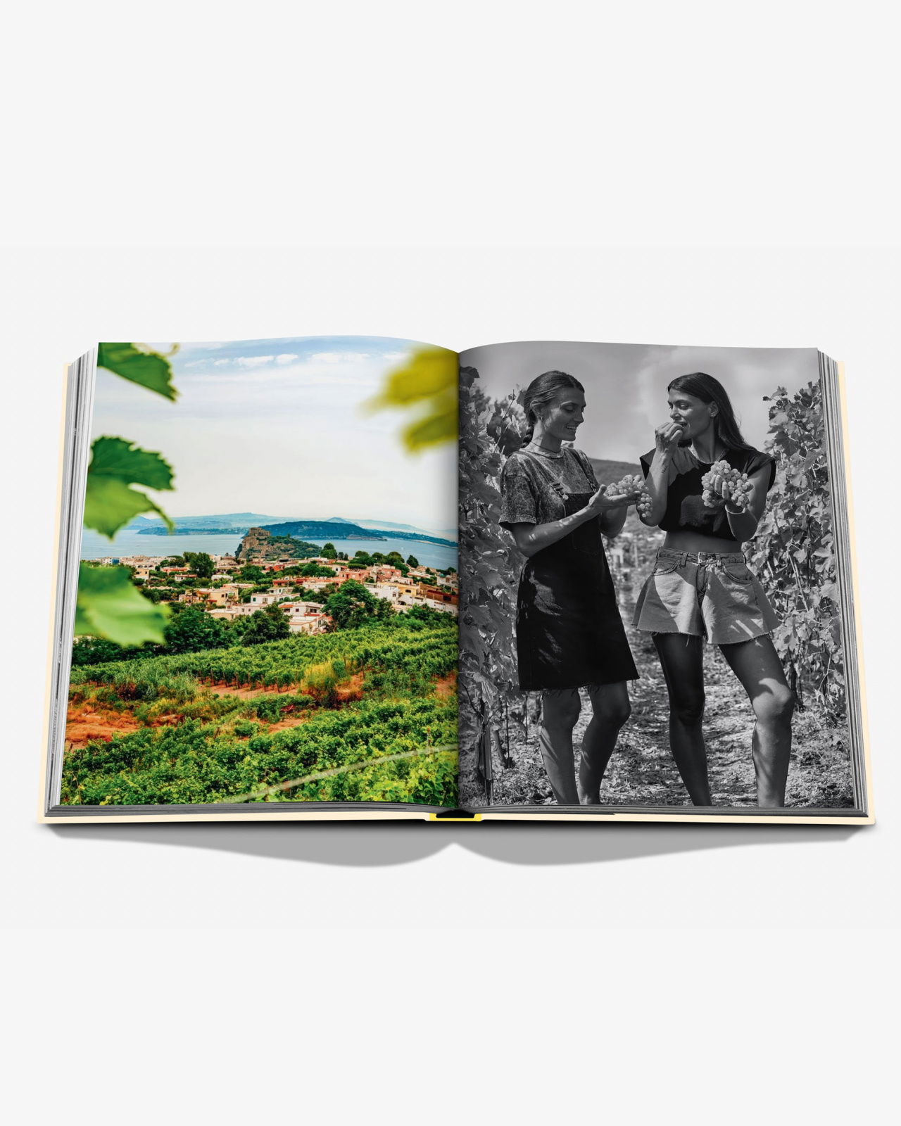 Wine & Travel Mediterranean Islands