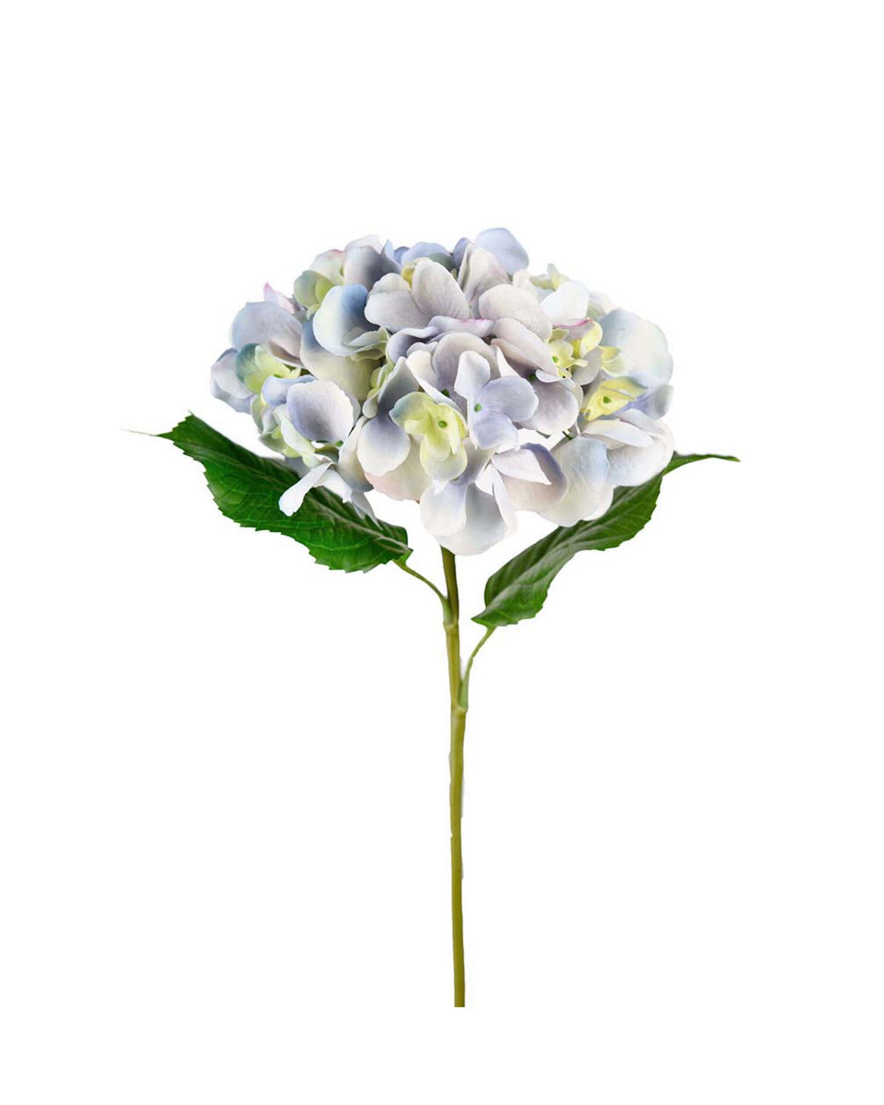 Hortensia snittblomma blå
