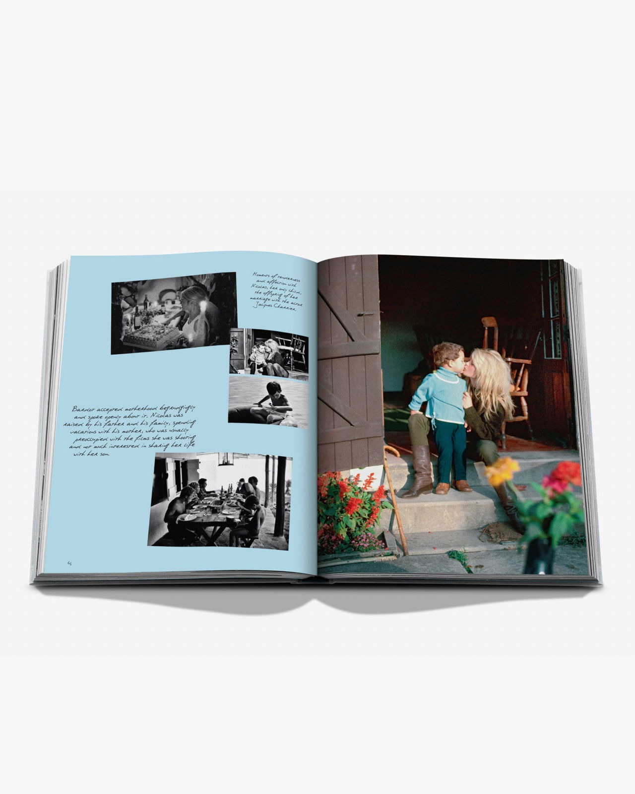 Brigitte Bardot: Intimate