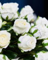 Rose Bouquet White