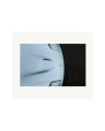 Ferrari 550 Maranello Print Only / Large