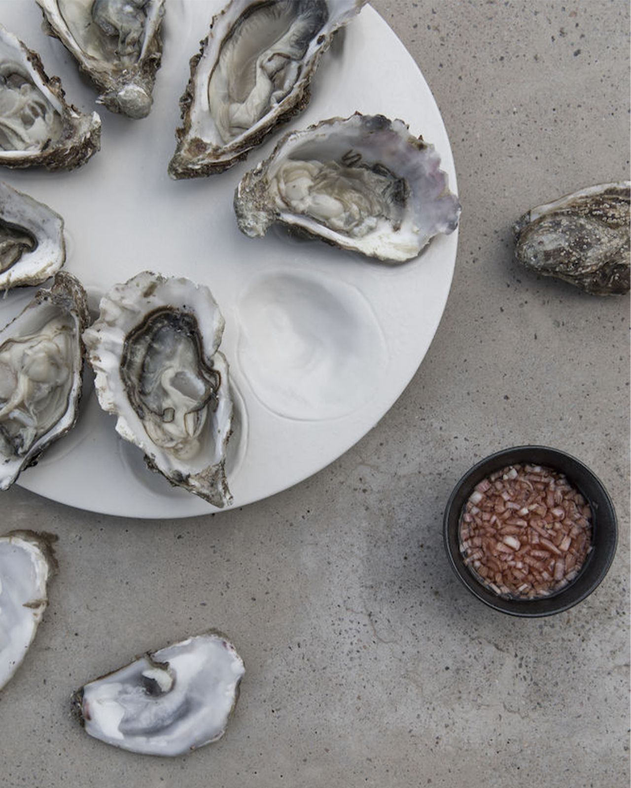 Cotier serveringsfat ostron