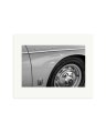 Speedster Print Only / Medium