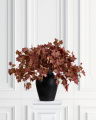 Maple Cut Flower Orange