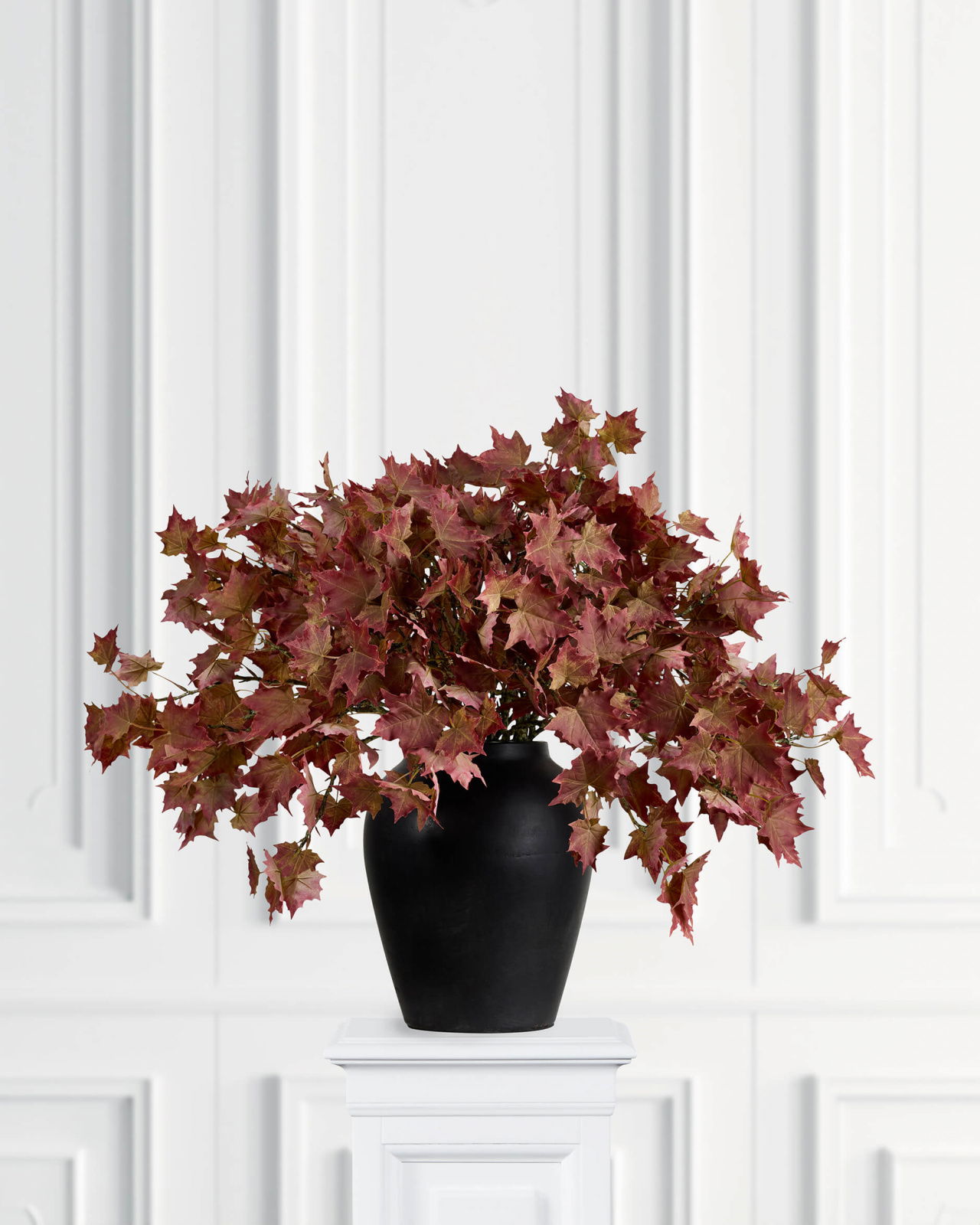 Maple Cut Flower Orange