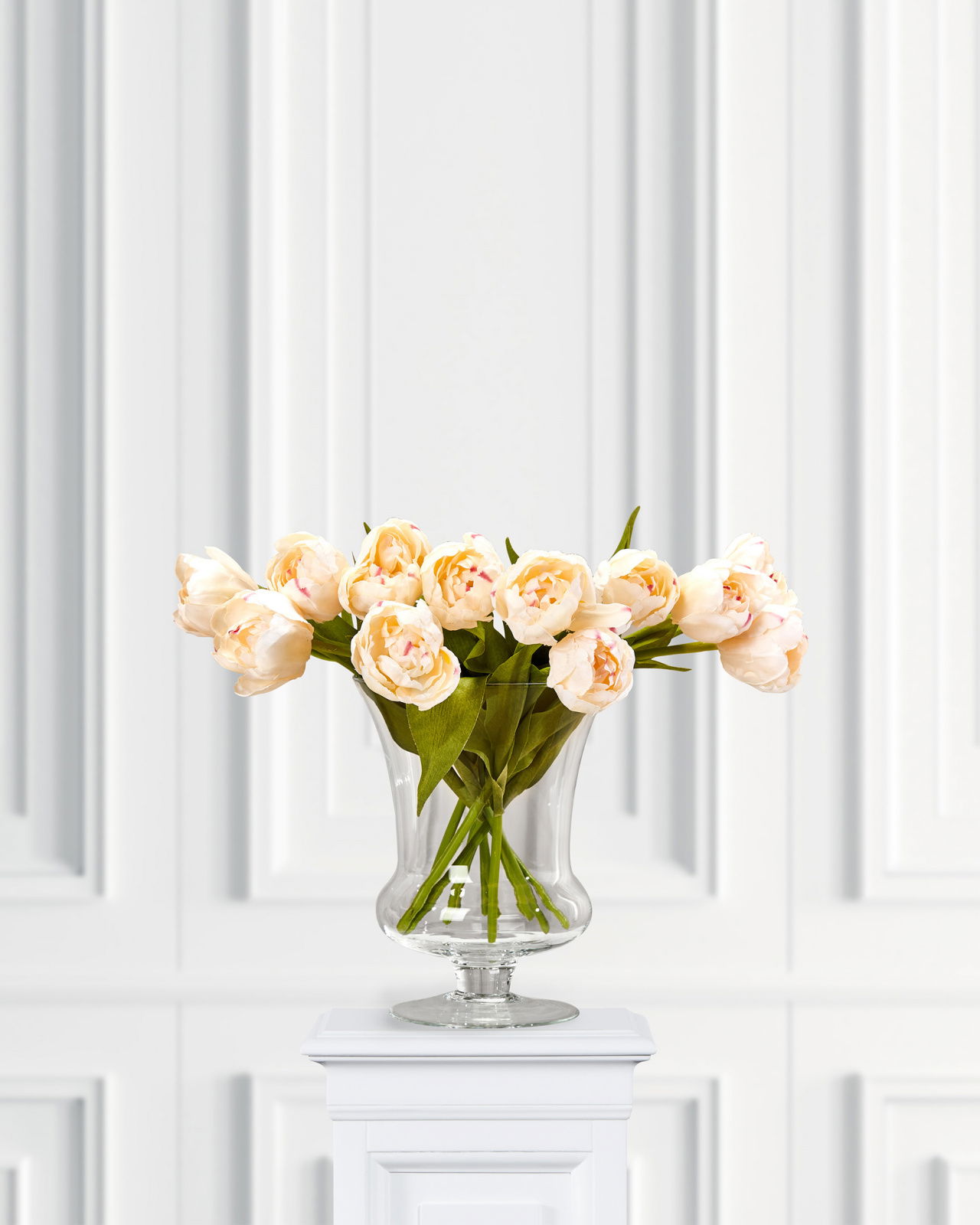 Tulpan snittblomma cream