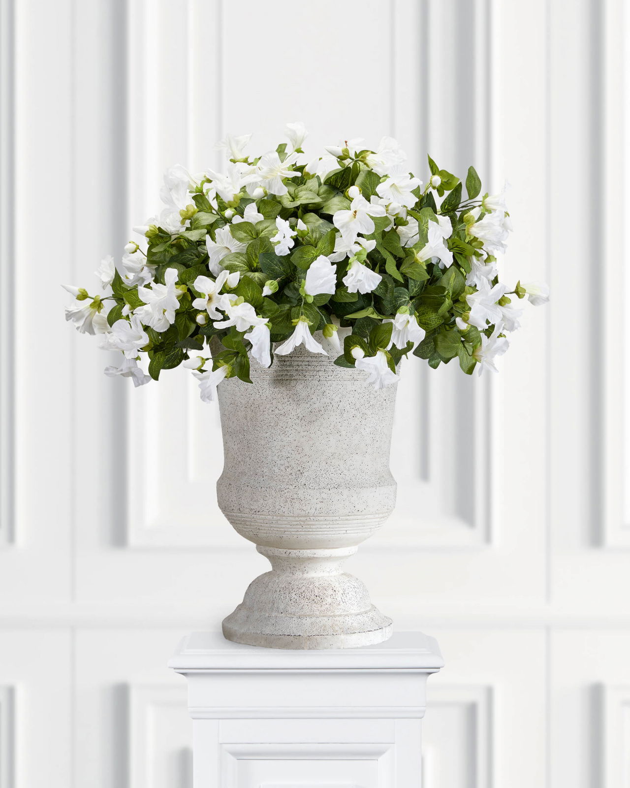 Petunia Potted Plant White