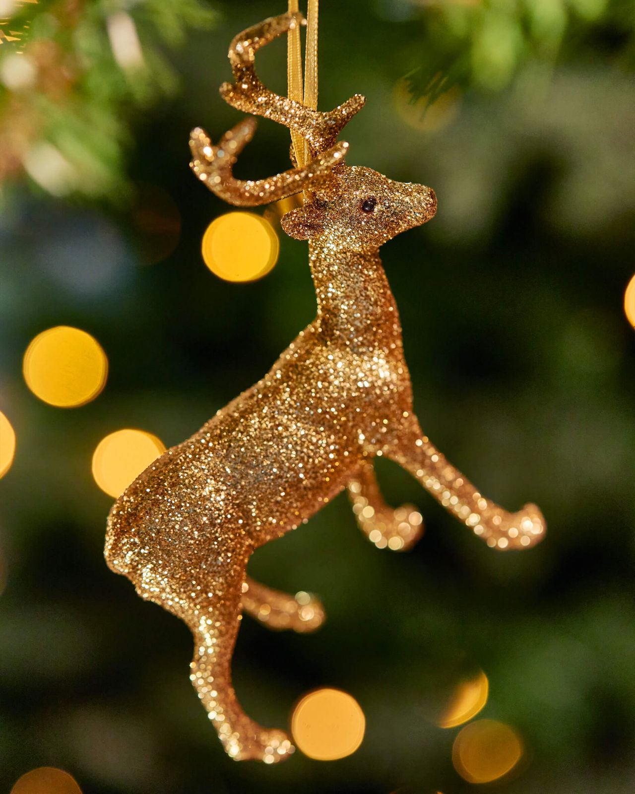 Gladys-kuusenkoriste, poro kulta