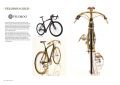 Wooden Bicycle: Around the World
