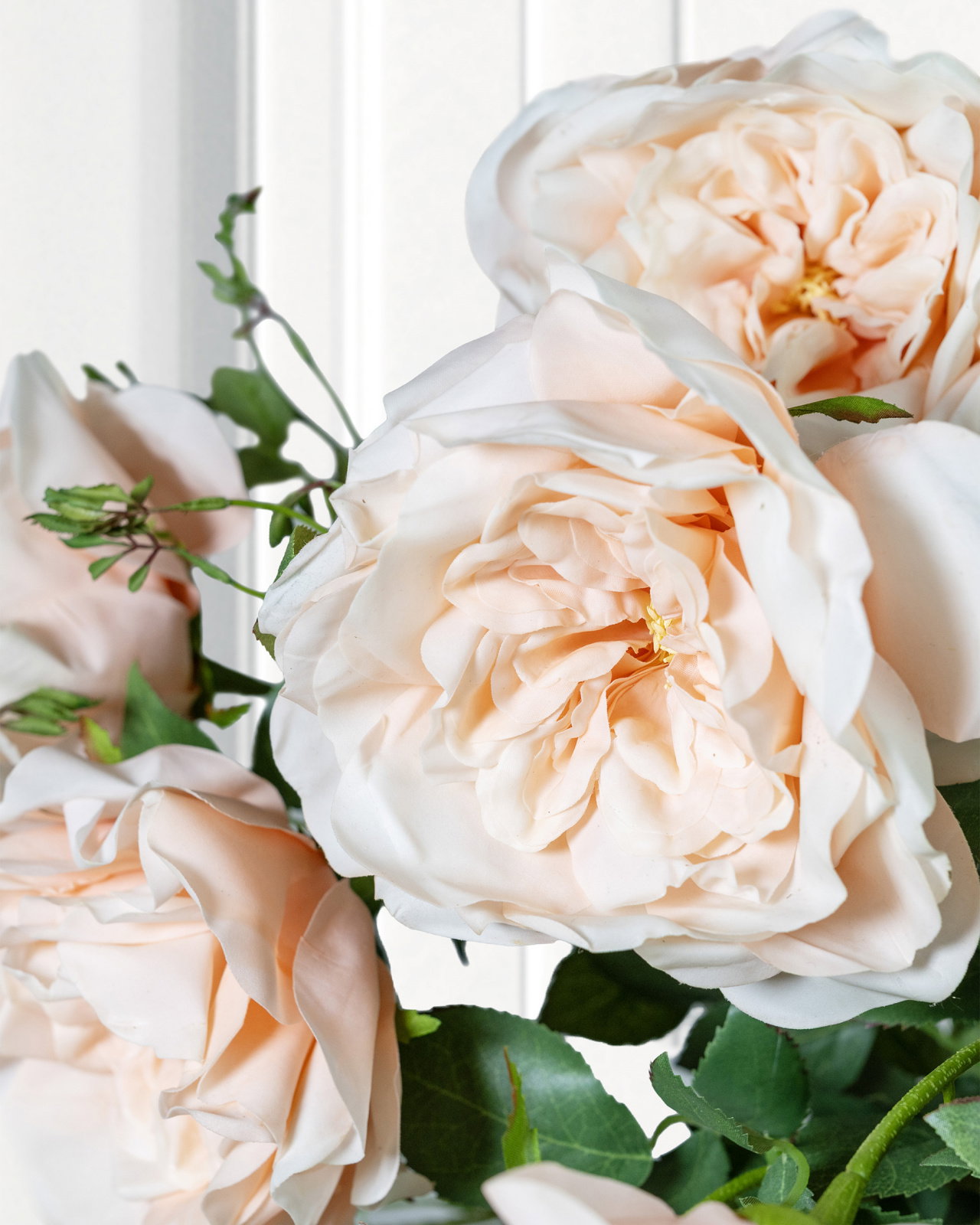 Ros snittblomma persika