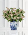 Lilac Cut Flower Pink