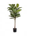 Rubber Fig Artificial Tree Green