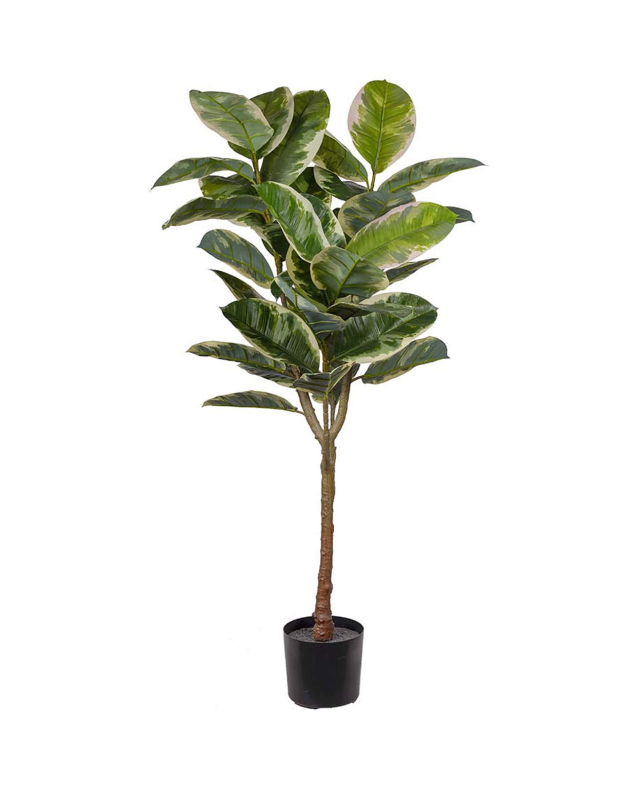 Rubber Fig Artificial Tree Green