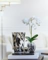 Orchid Potted Plant White