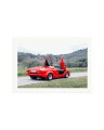 1988 Lamborghini Print Only / XXL