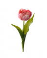 Snijtulp roze Donkerroze
