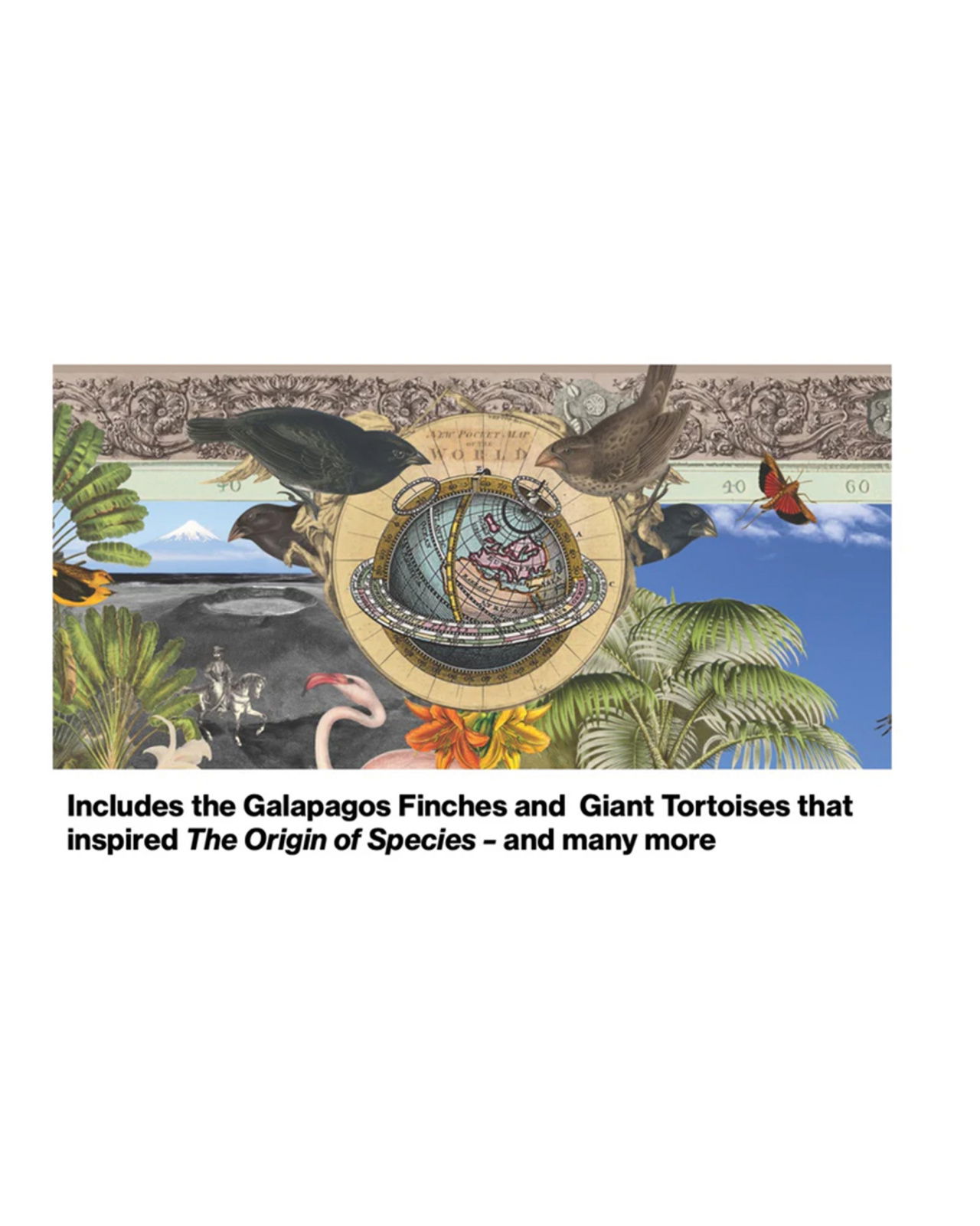 Charles Darwin pussel