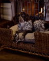 Cognac Dog Bed rattan