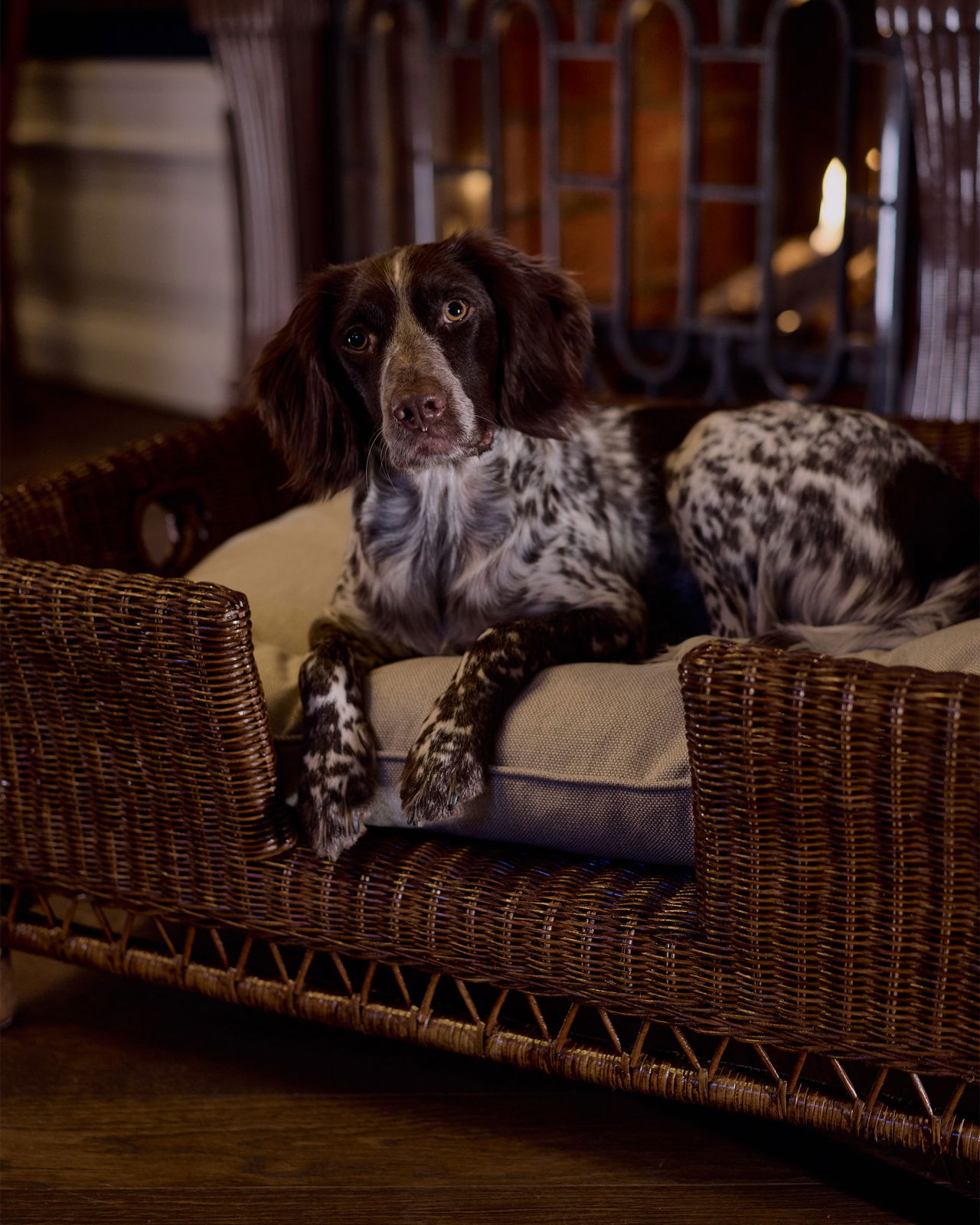 Cognac Dog Bed rattan