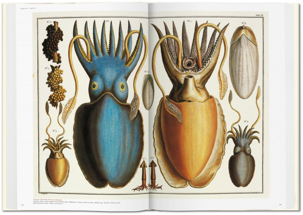 Cabinet of Natural Curiosities