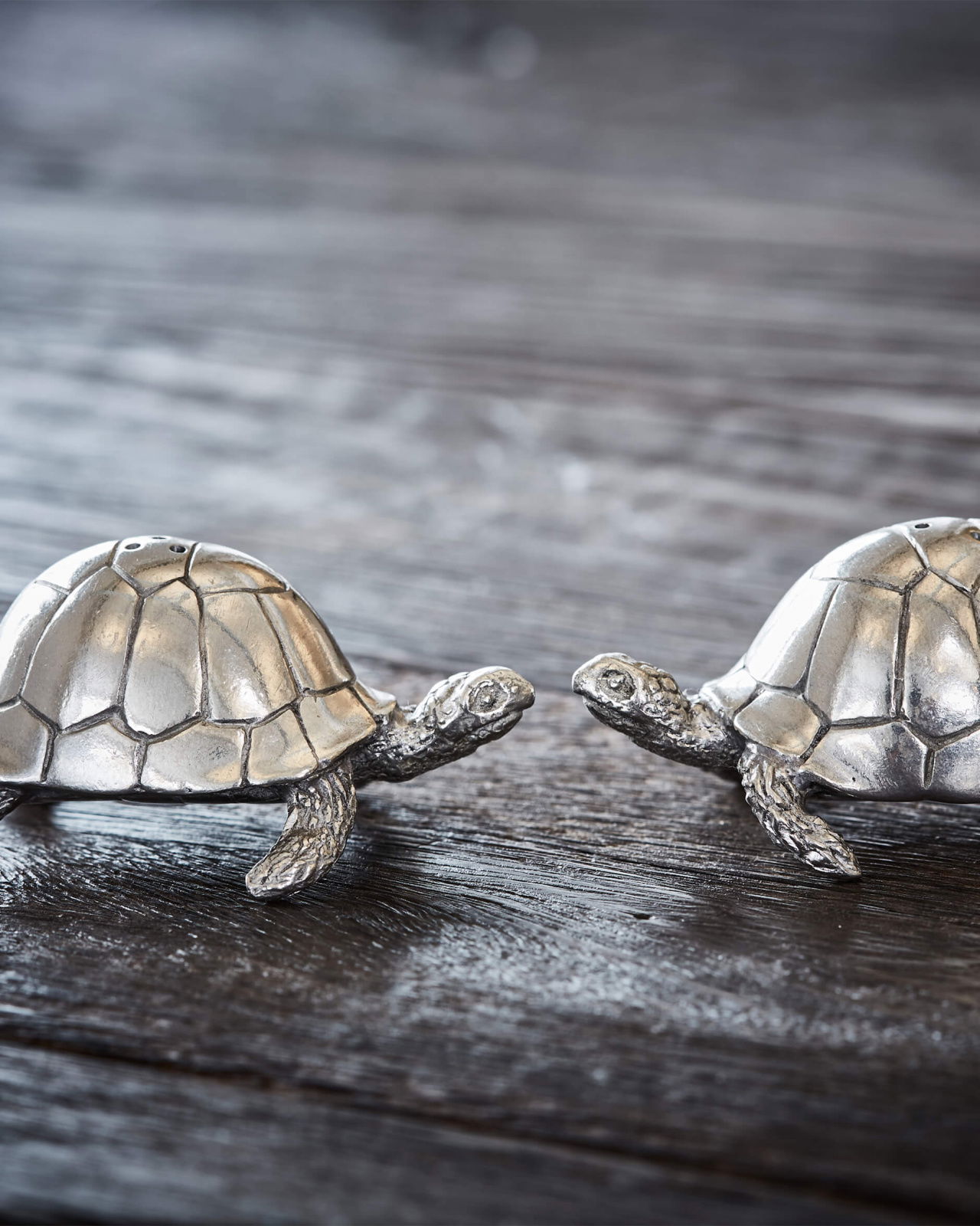 Sköldpaddor salt/pepparkar tenn