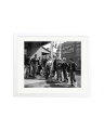 The Wild One Gang White / Medium