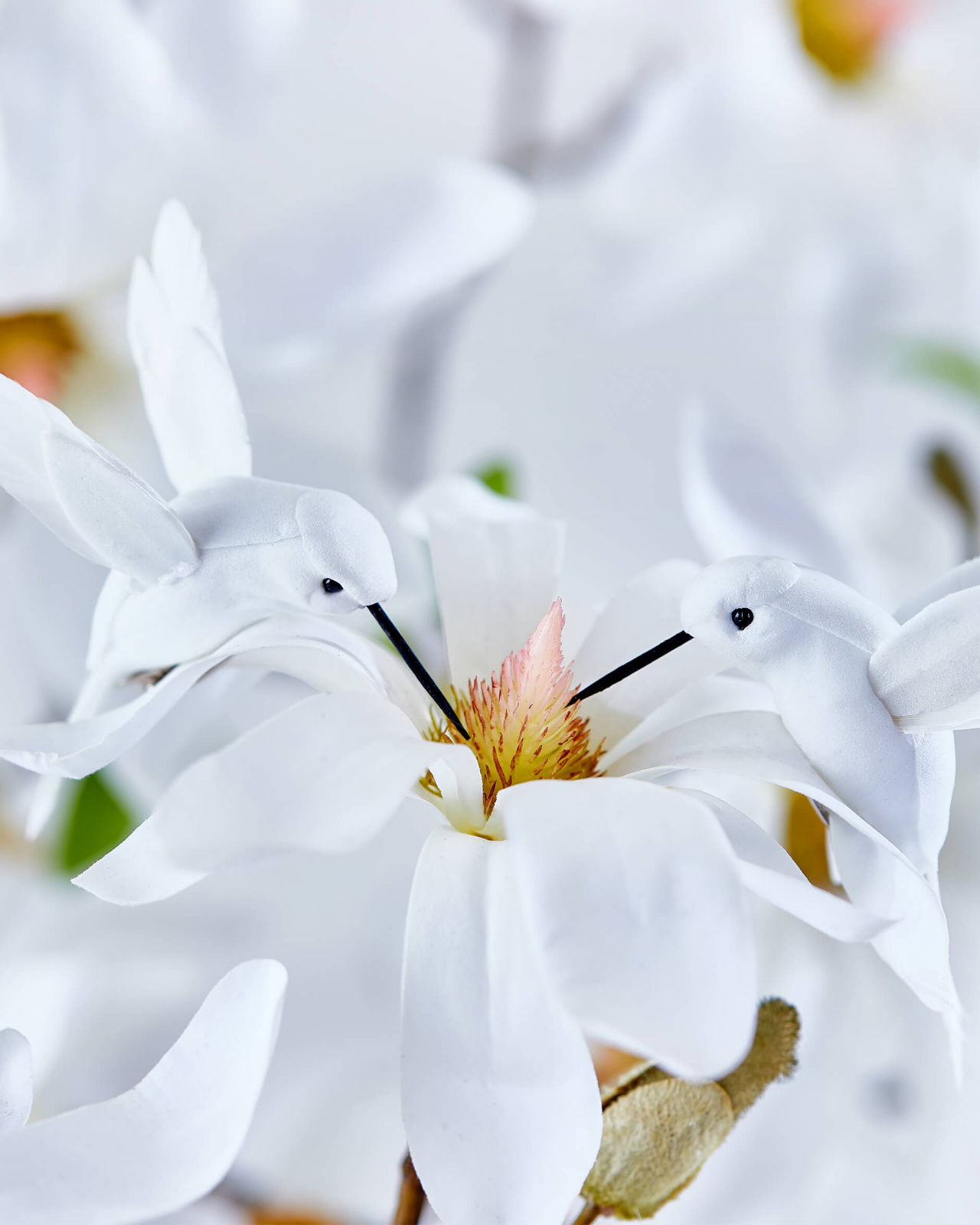 Moa hummingbird, white
