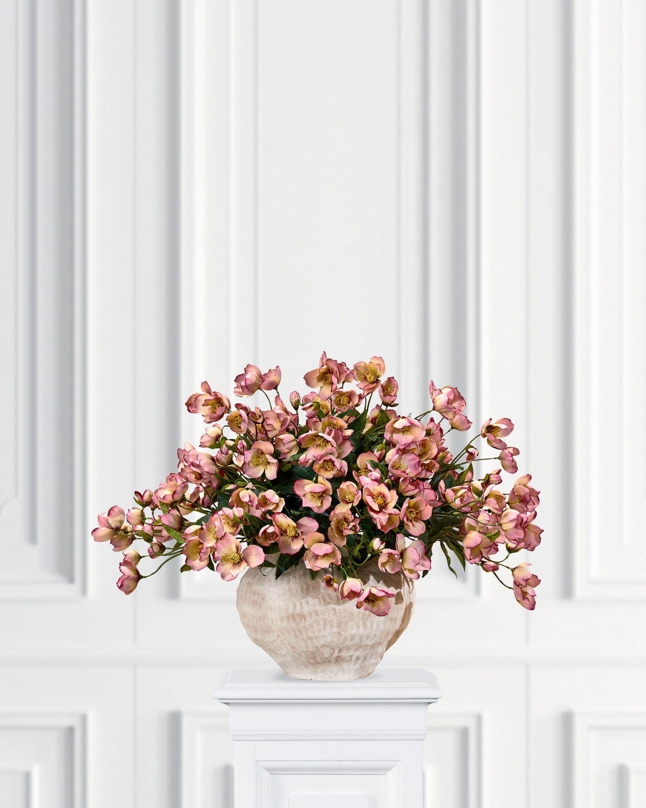 Christmas rose cut flower pink