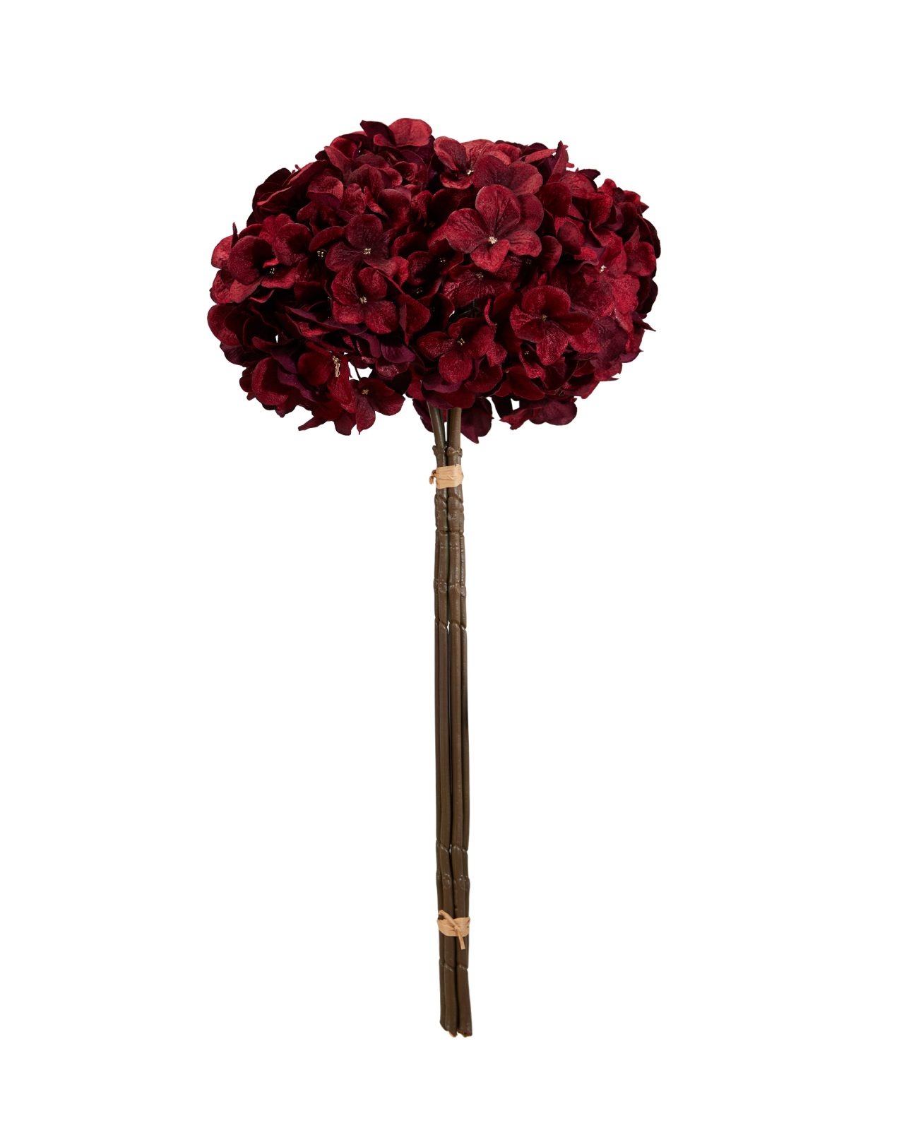 Hortensia snitblomst rød 5-pak