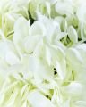 Hydrangea faux flower (white)
