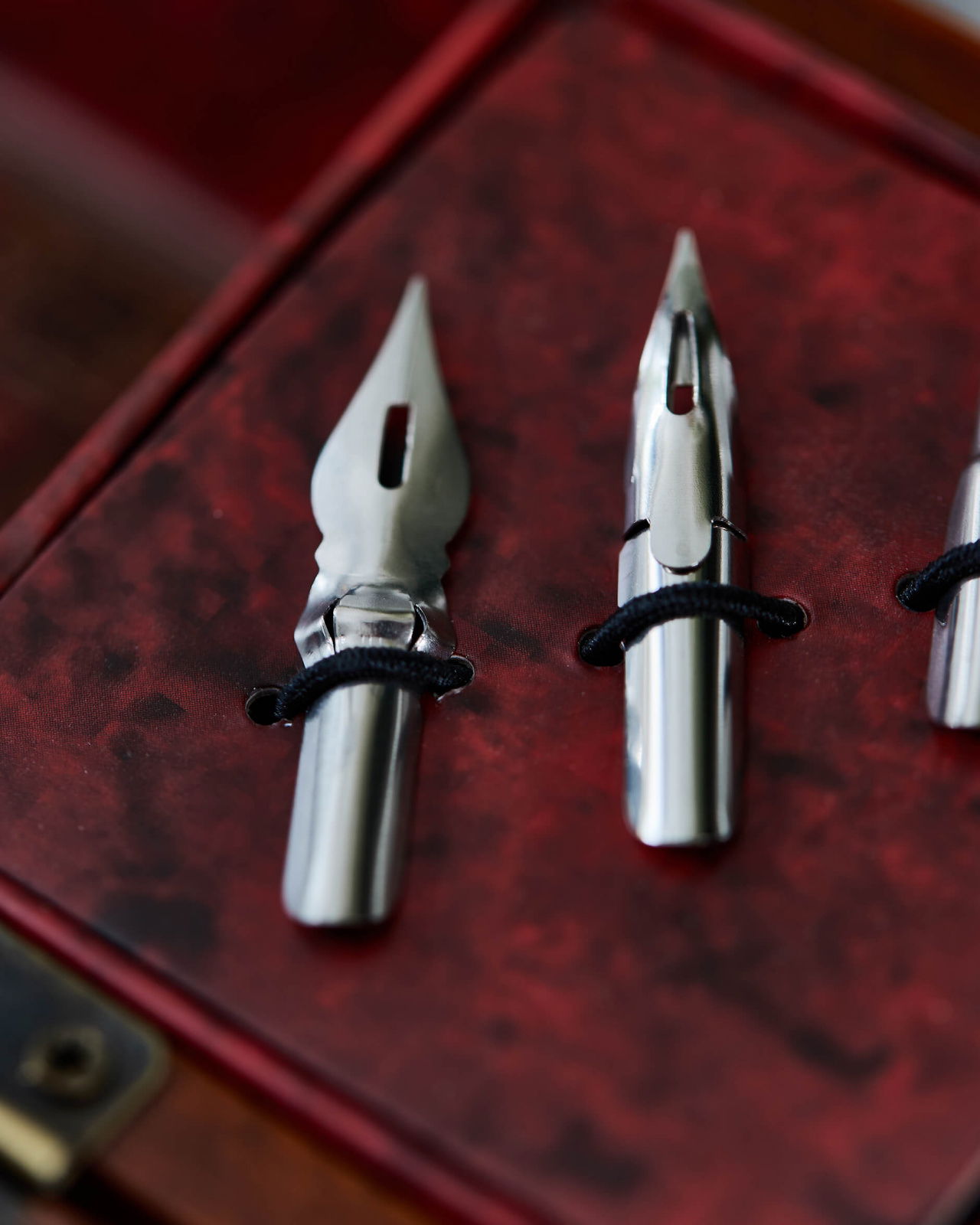 Windsor Prose kalligrafiset