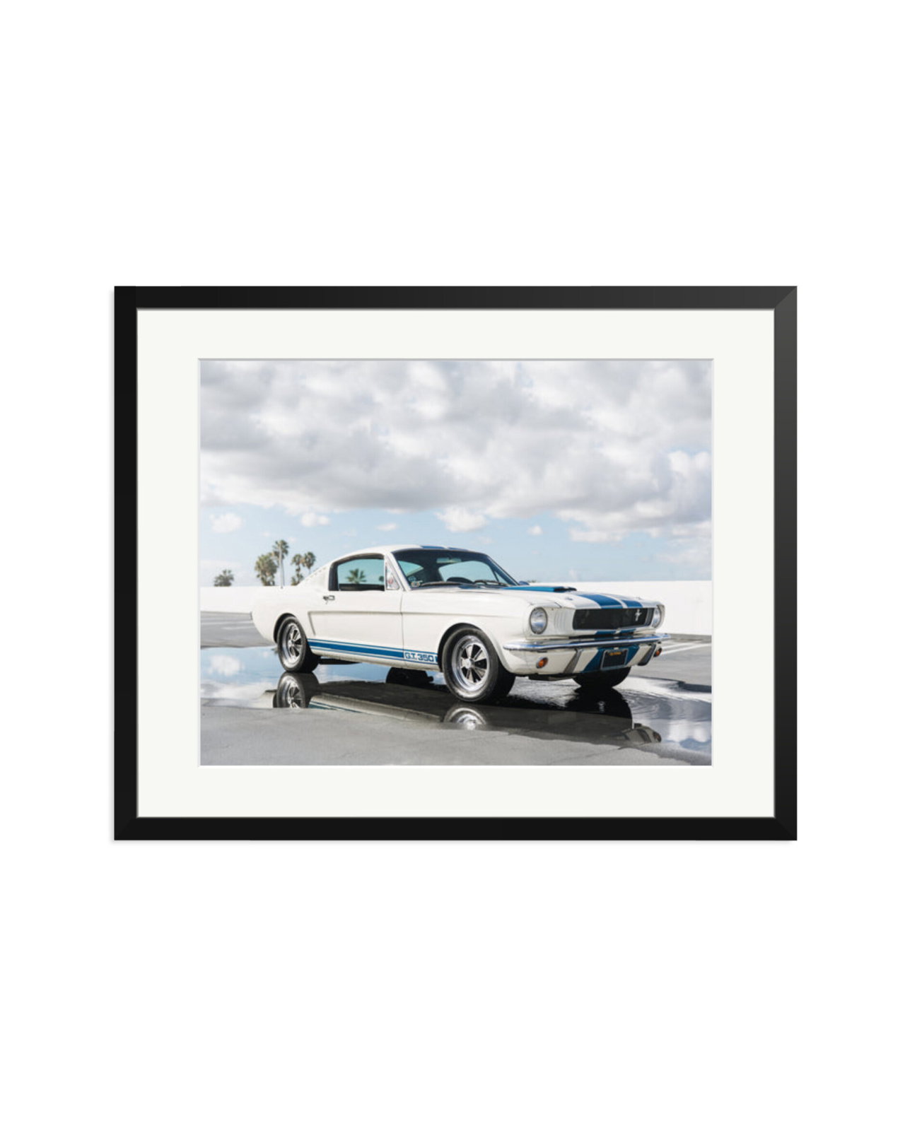 Ford Mustang Shelby GT350 Black / XL