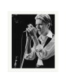 David Bowie 1976 Print Only / XXL