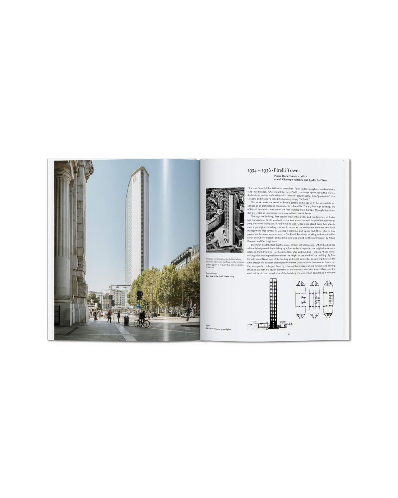 Gio Ponti - Basic Art Series