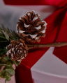 Mirelle Pine Sprig Green