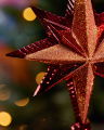 Marguerite Tree Topper Star Red