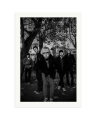 Cage The Elephant Print Only / XXL