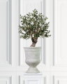 Artificial Olive Tree