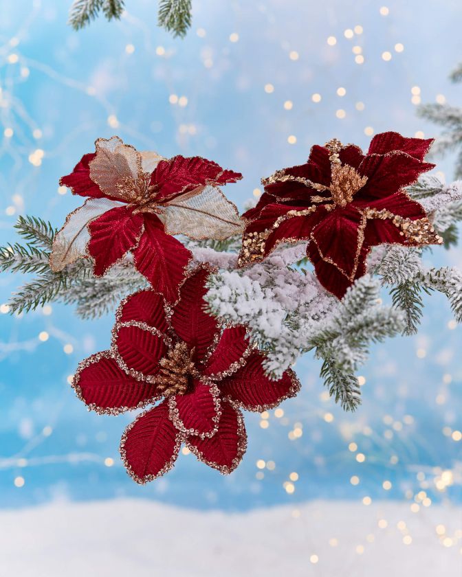 CHRISTMAS FLOWERS 44