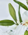 Lilystone Bouquet