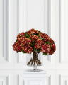 Hydrangea cut flower (red)