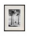 Palmtrees