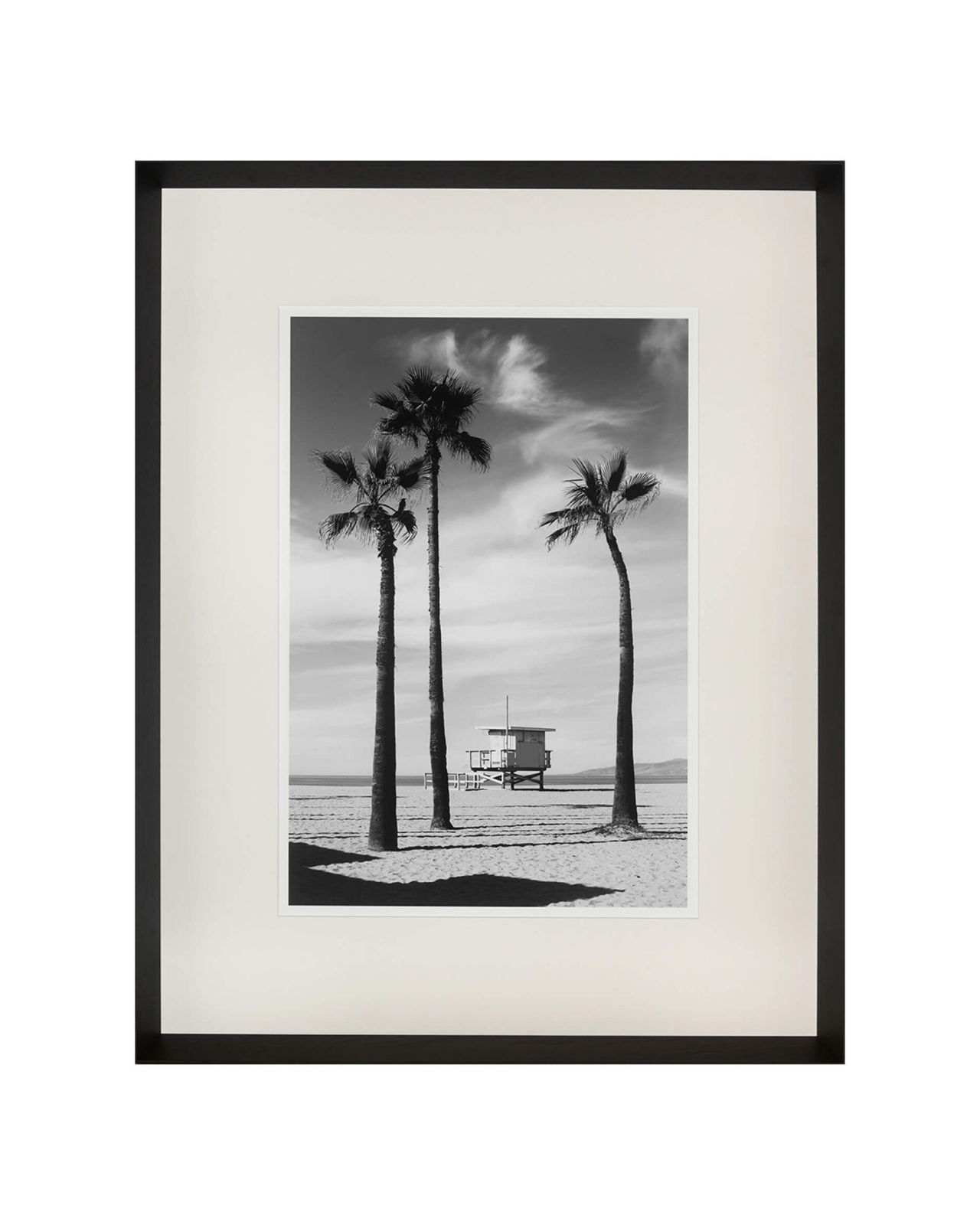 Palmtrees